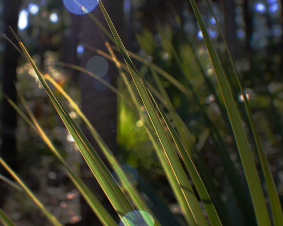 The delights of Delray Beach