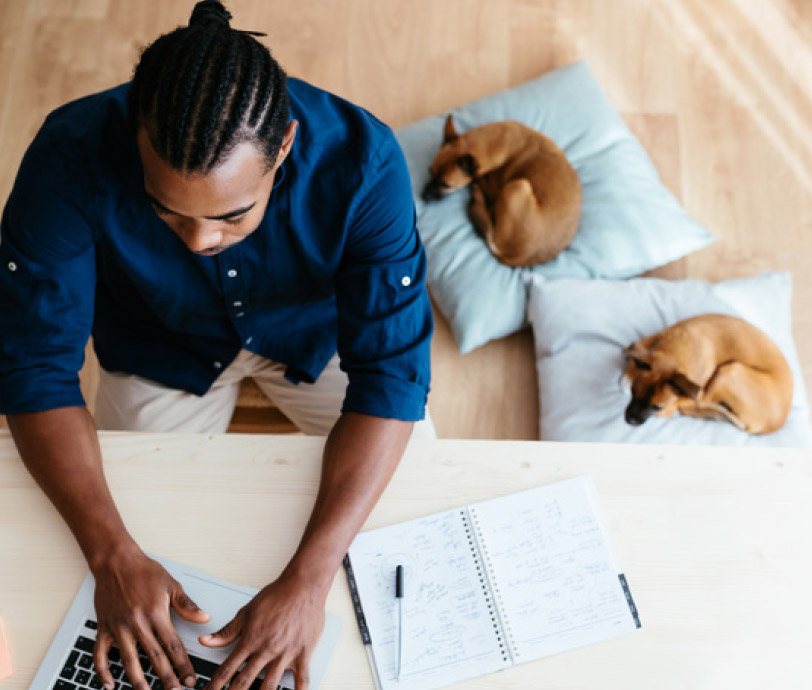 A man using his laptop at home with his two dogs